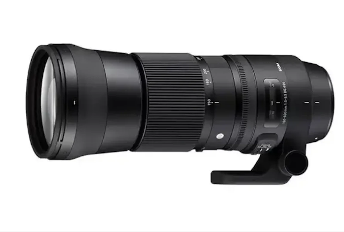 レンズ(ズーム) SIGMA 150-600mm F5-6.3 HSM Contemporary 2026年版】Sigma 150-600mm F5-6.3 DG OS HSM Contemporaryのレビュー